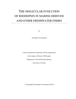 The Molecular Evolution of Rhodopsin in Marine-Derived