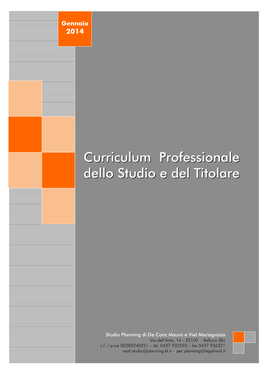 Curriculum Professionale Dello Studio E Del Titolare