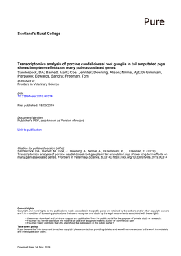 Transcriptomics Analysis of Porcine Caudal Dorsal Root Ganglia in Tail