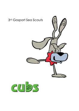 3Rd Gosport Sea Scouts