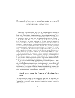 Determining Large Groups and Varieties from Small Subgroups and Subvarieties