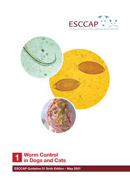 Worm Control in Dogs and Cats