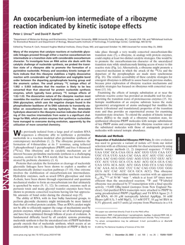 An Oxocarbenium-Ion Intermediate of a Ribozyme Reaction Indicated by Kinetic Isotope Effects