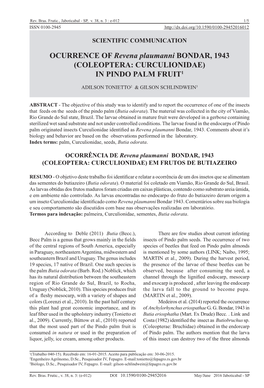 OCURRENCE of Revena Plaumanni BONDAR, 1943 (Coleoptera: CURCULIONIDAE) in PINDO PALM FRUIT1