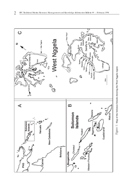 An Analysis of the West Nggela (Solomon Islands) Fish Taxonomy