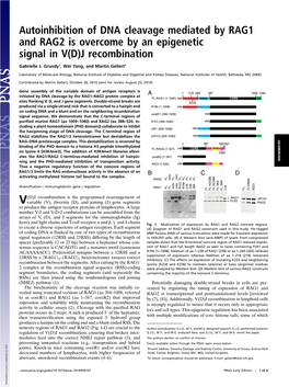 Autoinhibition of DNA Cleavage Mediated by RAG1 and RAG2 Is Overcome by an Epigenetic Signal in V(D)J Recombination