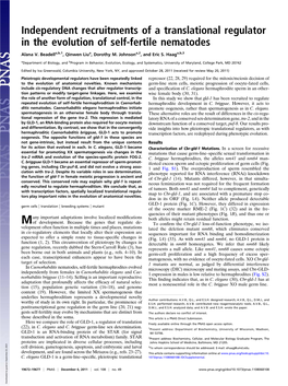 Independent Recruitments of a Translational Regulator in the Evolution of Self-Fertile Nematodes