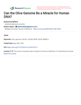 Can the Olive Genome Be a Miracle for Human DNA?