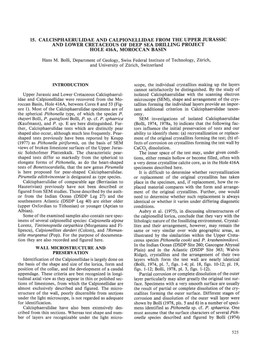 15. Calcisphaerulidae and Capionellidae from the Upper