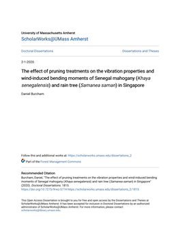 The Effect of Pruning Treatments on the Vibration Properties and Wind