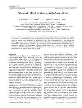 Pathogenicity of Colletotrichum Species to Protea Cultivars