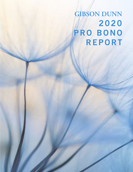 2020 Pro Bono Report