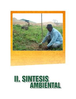 Sintesis Ambiental