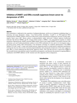 Inhibition of DNMT1 and Errα Crosstalk Suppresses Breast Cancer Via Derepression of IRF4