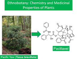 Ethnobotany: Chemistry and Medicinal Properties of Plants