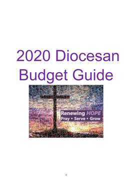2020 Diocesan Budget Guide