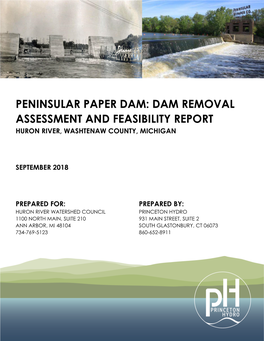 Peninsular Paper Dam: Dam Removal Assessment and Feasibility Report Huron River, Washtenaw County, Michigan