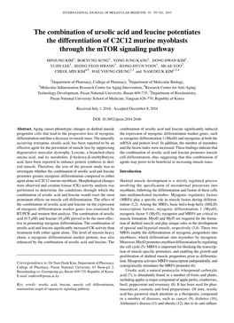 The Combination of Ursolic Acid and Leucine Potentiates the Differentiation of C2C12 Murine Myoblasts Through the Mtor Signaling Pathway