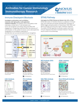 Antibodies for Cancer Immunology Immunotherapy Research