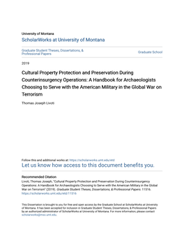 Cultural Property Protection and Preservation During