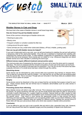 Bladder Stones in Cats and Dogs