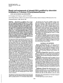 Repair and Mutagenesis of Plasmid DNA Modified by Ultraviolet