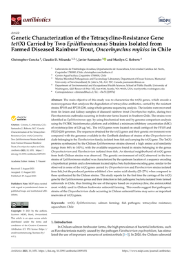 Carried by Two Epilithonimonas Strains Isolated from Farmed Diseased Rainbow Trout, Oncorhynchus Mykiss in Chile