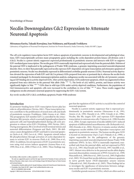 Necdin Downregulates Cdc2 Expression to Attenuate Neuronal Apoptosis