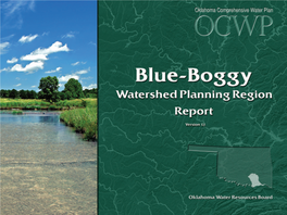 Blue-Boggy Watershed Region Report