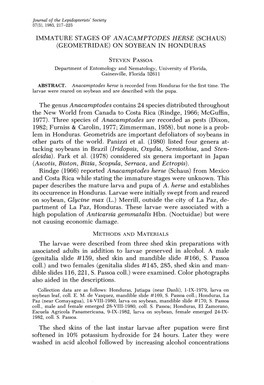 Immature Stages of Anacamptodes Herse (Schaus) (Geometridae) on Soybean in Honduras