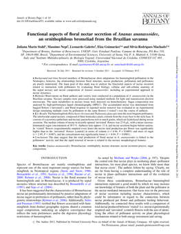 Functional Aspects of Floral Nectar Secretion of Ananas Ananassoides