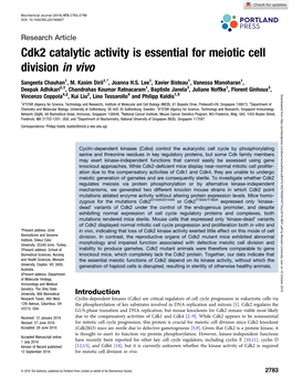 Cdk2 Catalytic Activity Is Essential for Meiotic Cell Division in Vivo