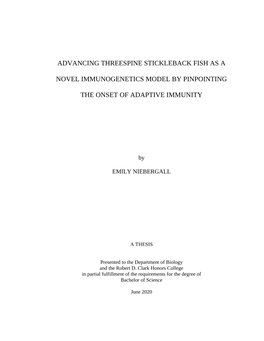 View / Open Final Thesis-Niebergall E.Pdf