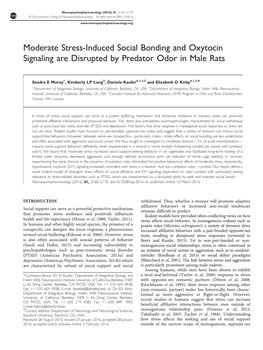 Moderate Stress-Induced Social Bonding and Oxytocin Signaling Are Disrupted by Predator Odor in Male Rats