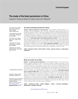 The Study of the Black Persimmon in China