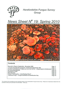 News Sheet N° 19: Sprinq 2010