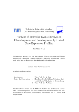 Analysis of Molecular Events Involved in Chondrogenesis and Somitogenesis by Global Gene Expression Proﬁling