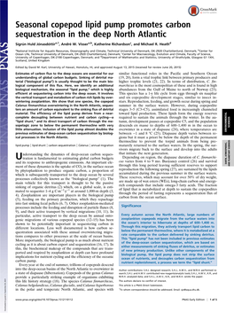 Seasonal Copepod Lipid Pump Promotes Carbon Sequestration in the Deep North Atlantic