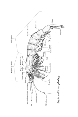 Euphausiidae of the Coastal Northeast Pacific