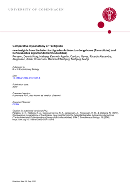 Comparative Myoanatomy of Tardigrada: New Insights from the Heterotardigrades Actinarctus Doryphorus (Tanarctidae) and Echiniscoides Sigismundi (Echiniscoididae)