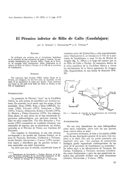 El Pérmico Inferior De Rillo De Gallo (Guadalajara)