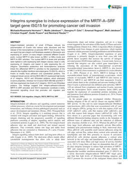 Integrins Synergise to Induce Expression of the MRTF-A–SRF Target