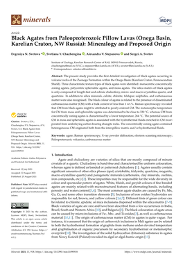 Black Agates from Paleoproterozoic Pillow Lavas (Onega Basin, Karelian Craton, NW Russia): Mineralogy and Proposed Origin