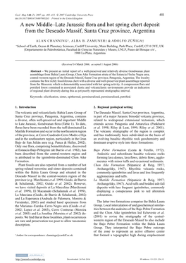 A New Middle–Late Jurassic Flora and Hot Spring Chert Deposit from The