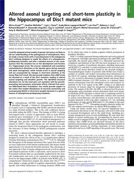 Altered Axonal Targeting and Short-Term Plasticity in the Hippocampus of Disc1 Mutant Mice