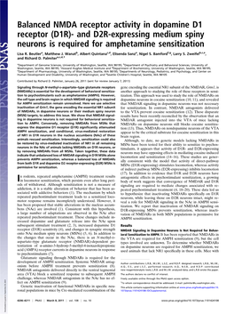 Balanced NMDA Receptor Activity in Dopamine D1 Receptor (D1R)- and D2R-Expressing Medium Spiny Neurons Is Required for Amphetamine Sensitization