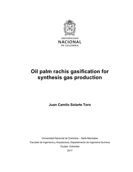 Oil Palm Rachis Gasification for Synthesis Gas Production