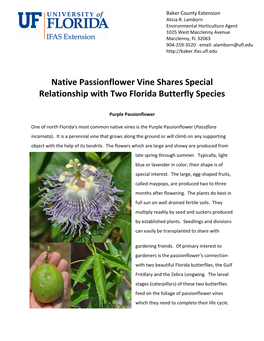 Native Passionflower Vine Shares Special Relationship with Two Florida Butterfly Species