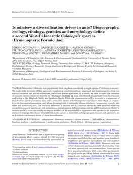 Is Mimicry a Diversification-Driver in Ants? Biogeography, Ecology, Ethology, Genetics and Morphology Define a Second West-Palae