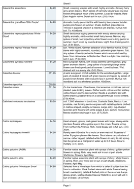 Sheet1 Calamintha Ascendens £4.20 Small, Creeping Species with Small, Highly Aromatic, Densely Hairy Grey-Green Leaves. Short S